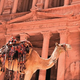 Illustration for article titled Book Jordan packages online